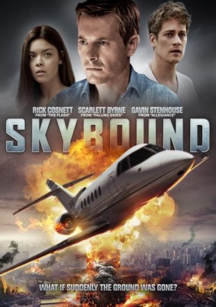 Skybound 2017 Dual Audio Hindi-English 480p 720p Bluray