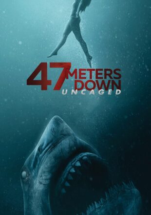 47 Meters Down: Uncaged (2019) Hindi Dubbed Dual Audio Full Movie