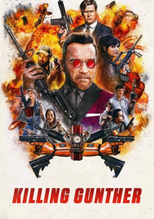 Killing Gunther 2017 Dual Audio Hindi-English 480p 720p 1080p Bluray