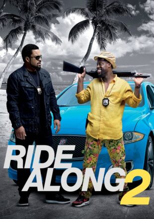 Ride Along 2 2016 Dual Audio Hindi-English 480p 720p Bluray Gdrive Link