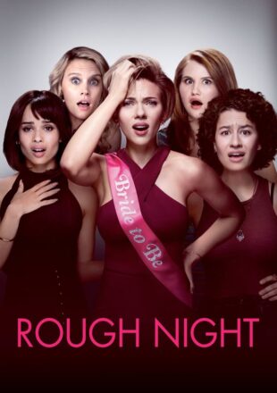 Rough Night 2017 Dual Audio Hindi-English 480p 720p Bluray Gdrive Link