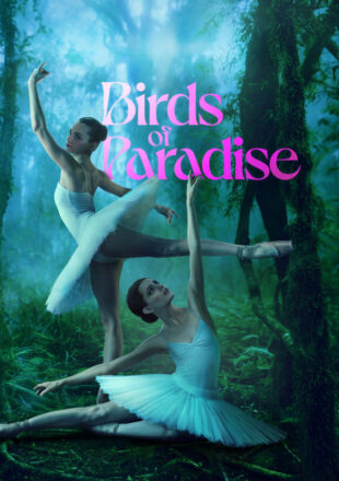 Birds of Paradise 2021 English Full Movie 480p 720p 1080p Bluray