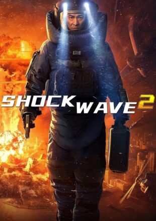 Shock Wave 2 2020 Dual Audio Hindi-Chinese 480p 720p 1080p