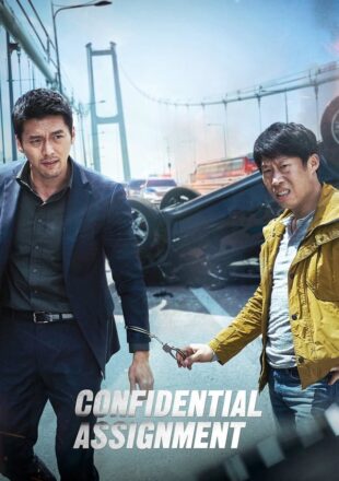 Confidential Assignment 2017 Dual Audio Hindi-English 480p 720p