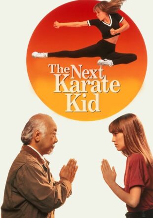 The Next Karate Kid 1994 Dual Audio Hindi-English 480p 720p 1080p