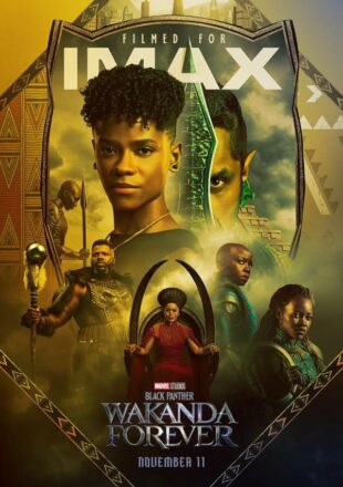 Black Panther: Wakanda Forever 2022 IMAX Dual Audio Hindi-English