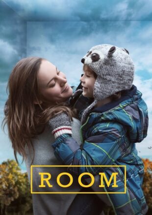 Room 2015 Dual Audio Hindi-English 480p 720p 1080p