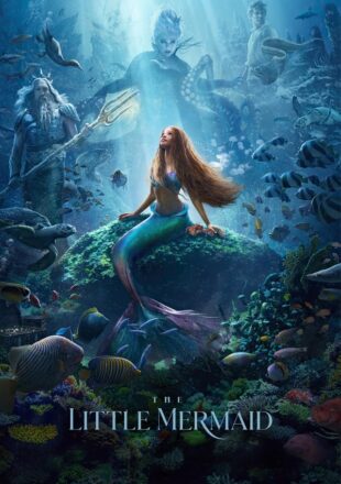 The Little Mermaid 2023 Hindi Dubbed 480p 720p 1080p