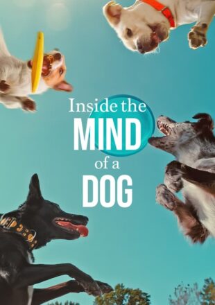 Inside the Mind of a Dog 2024 Dual Audio Hindi-English 480p 720p 1080p