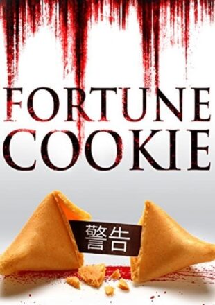 Fortune Cookie 2016 Dual Audio Hindi-English 480p 720p 1080p